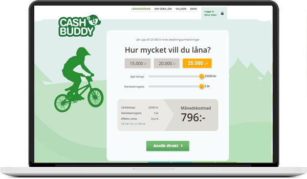 cashbuddy skärm