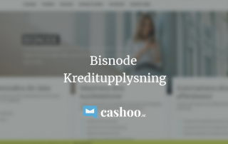 Vad är Bisnode Kreditupplysning