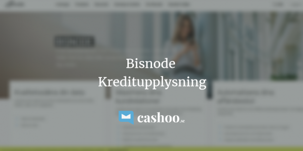 Vad är Bisnode Kreditupplysning